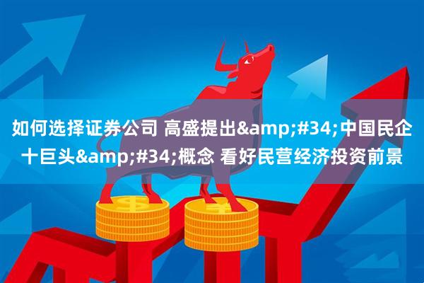如何选择证券公司 高盛提出&#34;中国民企十巨头&#34;概念 看好民营经济投资前景