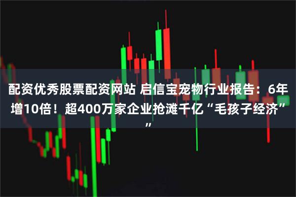 配资优秀股票配资网站 启信宝宠物行业报告：6年增10倍！超400万家企业抢滩千亿“毛孩子经济”